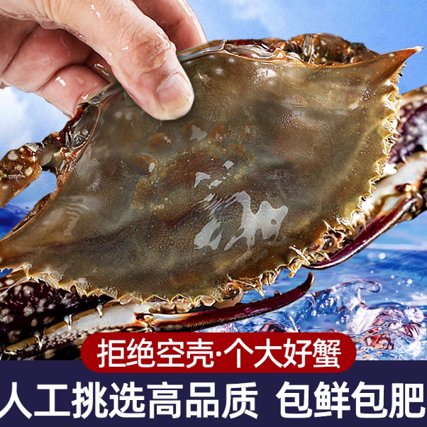 梭子蟹特大野生舟山大螃蟹海鲜新鲜冷冻海蟹3-5两/只 3斤梭